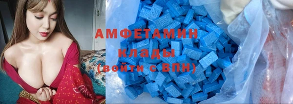 амф Бородино