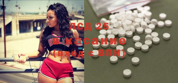 амф Бородино