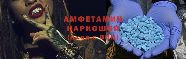 амф Бородино