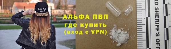 амф Бородино
