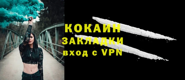 амф Бородино