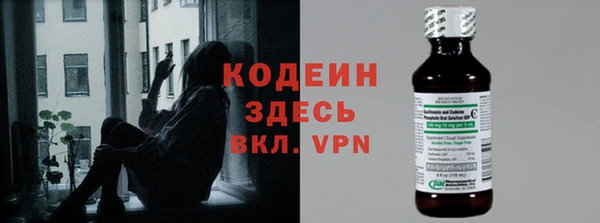 амф Бородино