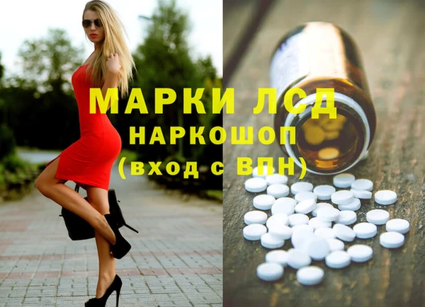 амф Бородино