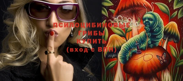 амф Бородино