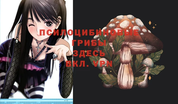 круглые Бронницы
