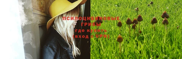 круглые Бронницы